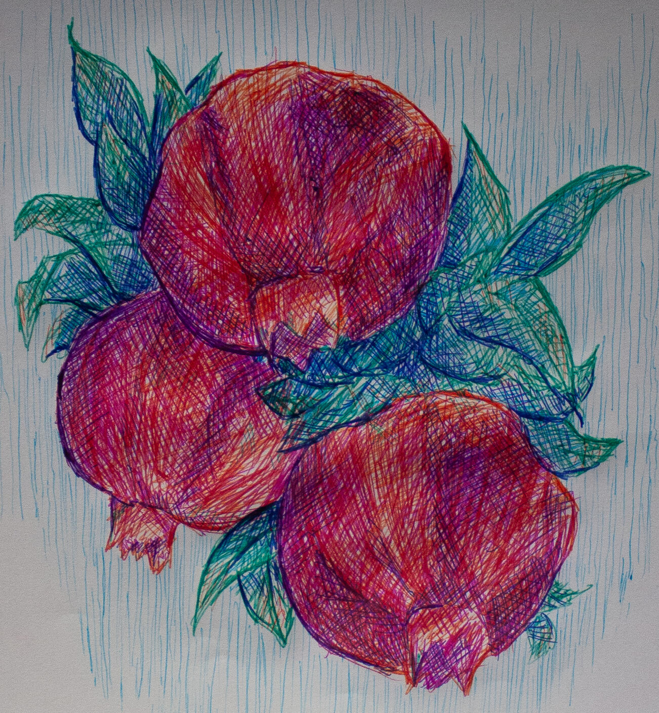 Poms, 2026, Multi Colored Pens